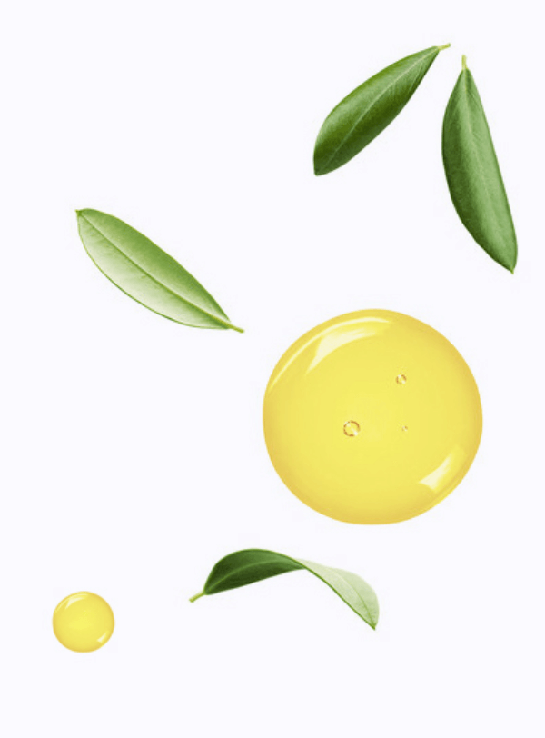 SuperHeal O-Live Leaf Extraction & Process